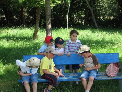 Preme para ver a foto ampliada