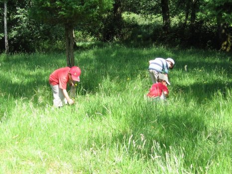 Preme para ver a foto ampliada