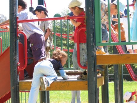 Preme para ver a foto ampliada