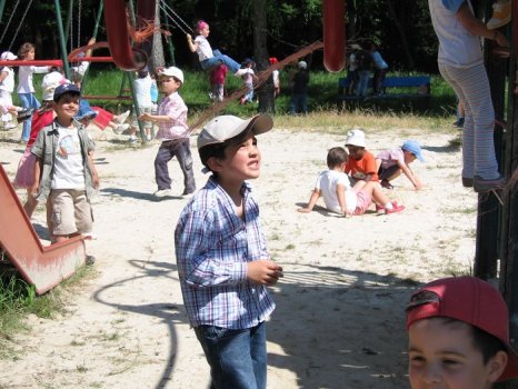 Preme para ver a foto ampliada