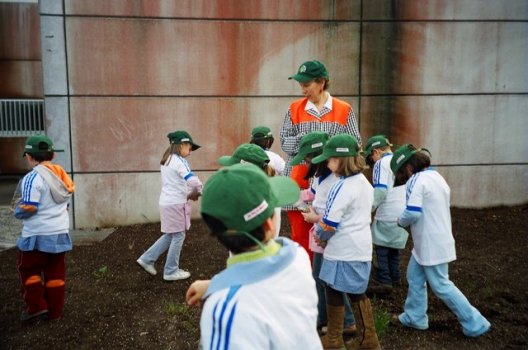 Preme para ver a foto ampliada