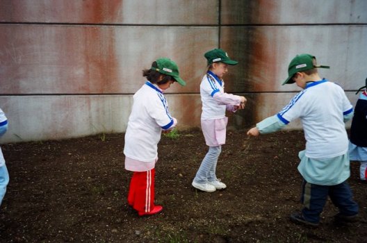 Preme para ver a foto ampliada