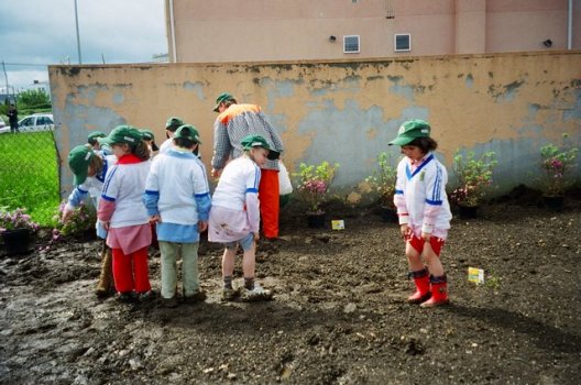 Preme para ver a foto ampliada