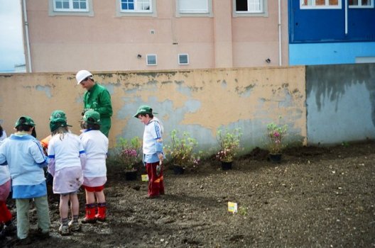 Preme para ver a foto ampliada