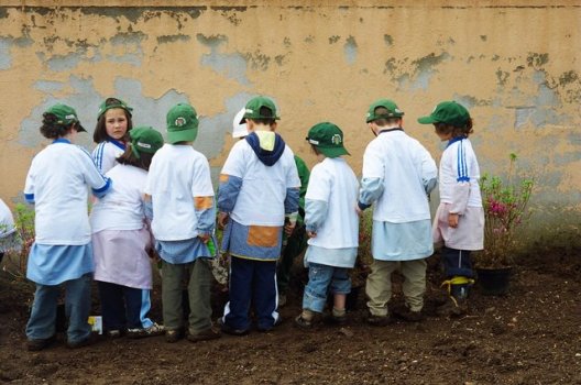 Preme para ver a foto ampliada