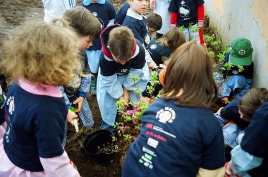 Preme para ver a foto ampliada