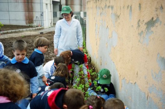 Preme para ver a foto ampliada