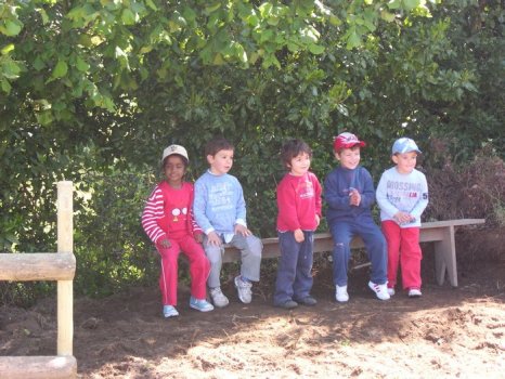 Preme para ver a foto ampliada