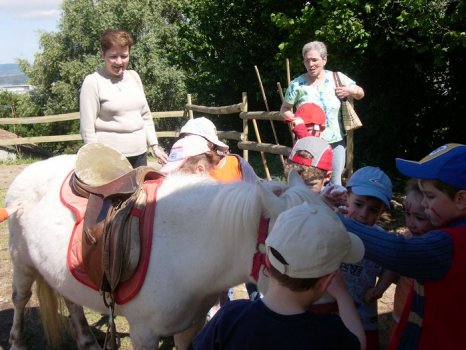 Preme para ver a foto ampliada