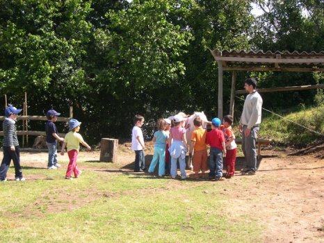 Preme para ver a foto ampliada