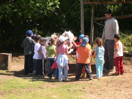 Preme para ver a foto ampliada