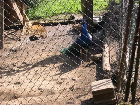 Preme para ver a foto ampliada