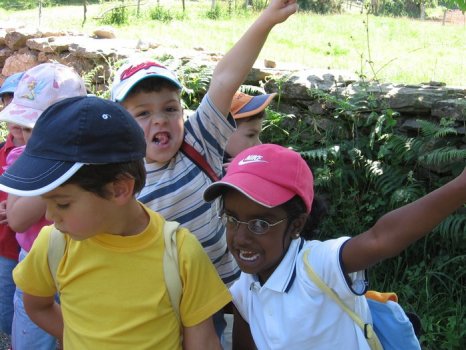 Preme para ver a foto ampliada