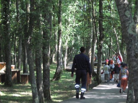 Preme para ver a foto ampliada