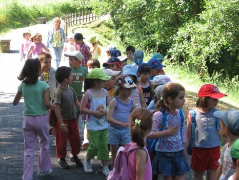 Preme para ver a foto ampliada