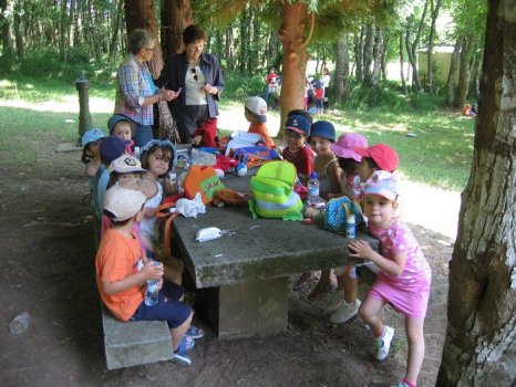 Preme para ver a foto ampliada