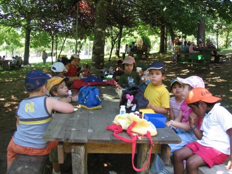 Preme para ver a foto ampliada