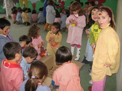 Preme para ver a foto ampliada