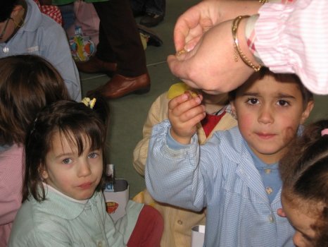 Preme para ver a foto ampliada