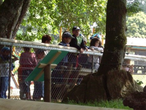 Preme para ver a foto ampliada