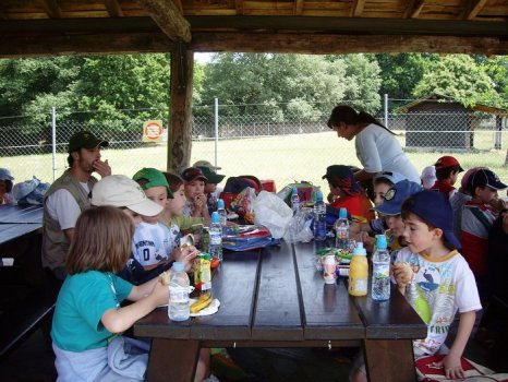 Preme para ver a foto ampliada