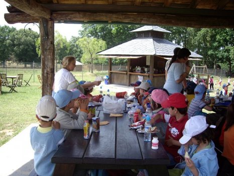 Preme para ver a foto ampliada