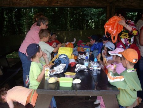 Preme para ver a foto ampliada