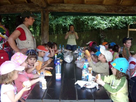 Preme para ver a foto ampliada