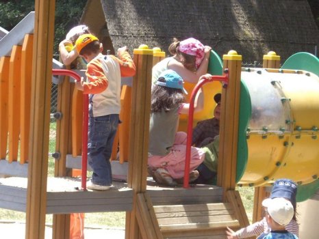 Preme para ver a foto ampliada