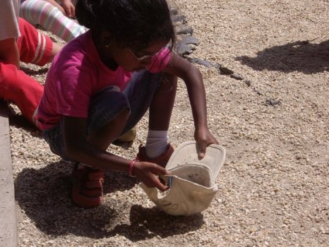 Preme para ver a foto ampliada