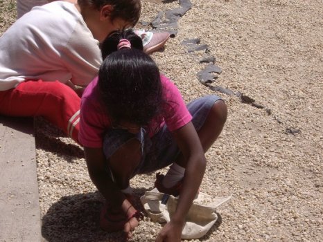 Preme para ver a foto ampliada