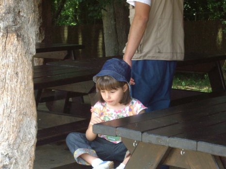 Preme para ver a foto ampliada