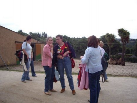 Preme para ver a foto ampliada