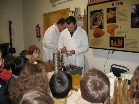 Preme para ver a foto ampliada