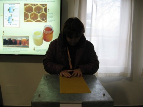 Preme para ver a foto ampliada