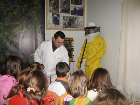 Preme para ver a foto ampliada