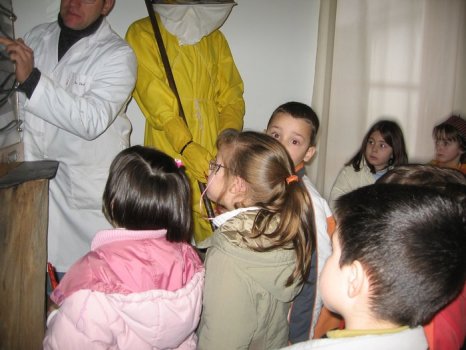 Preme para ver a foto ampliada