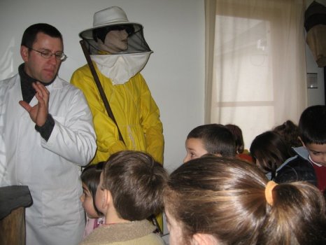 Preme para ver a foto ampliada