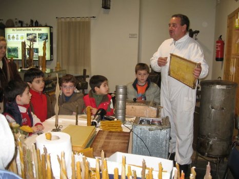 Preme para ver a foto ampliada