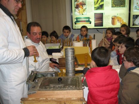 Preme para ver a foto ampliada