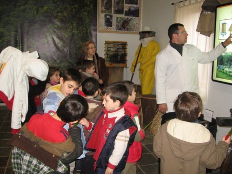 Preme para ver a foto ampliada