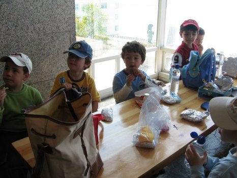 Preme para ver a foto ampliada