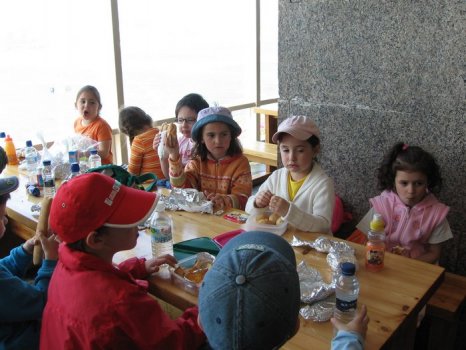 Preme para ver a foto ampliada