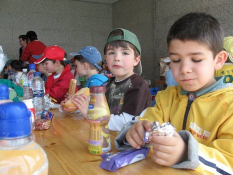 Preme para ver a foto ampliada