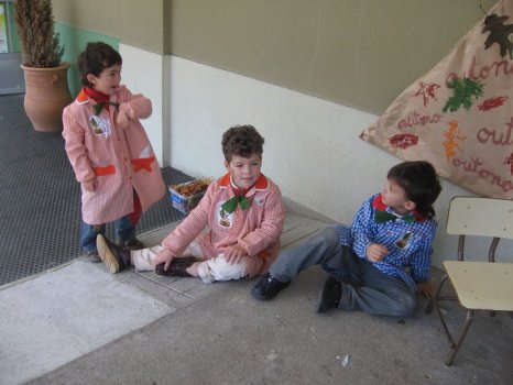 Preme para ver a foto ampliada