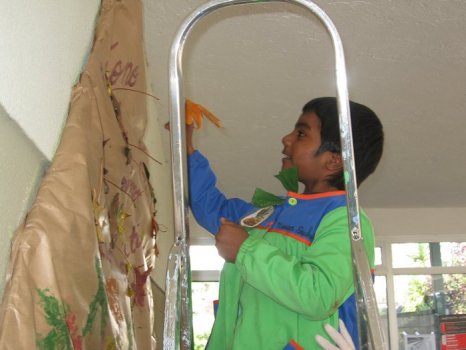 Preme para ver a foto ampliada