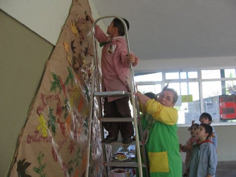 Preme para ver a foto ampliada