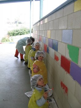 Preme para ver a foto ampliada