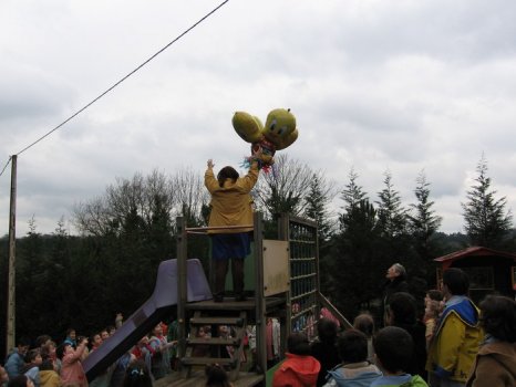 Preme para ver a foto ampliada