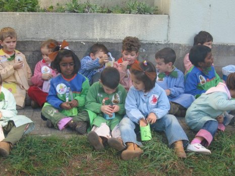 Preme para ver a foto ampliada